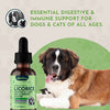 Animal Essentials Licorice Herbal Tonic | Supports Liver, Gut & Immune System