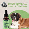 Animal Essentials Goldenseal Single Herb Tonic | Promotes Resistance to Pathogens