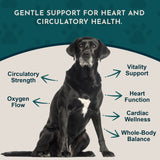 Animal Essentials Heart Health Herbal Tonic Blend