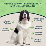 Animal Essentials Dandelion Single Herb Tonic | Supports Healthy Liver Function