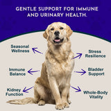 Animal Essentials Astragalus Single Herbal Tonic | Supports Immune & Kidney Function