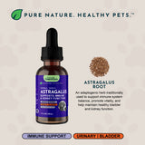 Animal Essentials Astragalus Single Herbal Tonic | Supports Immune & Kidney Function