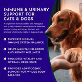 Animal Essentials Astragalus Single Herbal Tonic | Supports Immune & Kidney Function