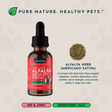 Animal Essentials Alfalfa Single Herb Tonic | Maintain Joint Mobility & Digestion