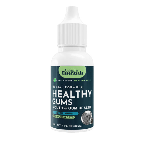 Animal Essentials Healthy Gums | Mouth & Gum Health
