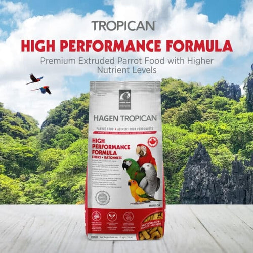 Hari Tropican High Performance Formula for Parrots Sticks