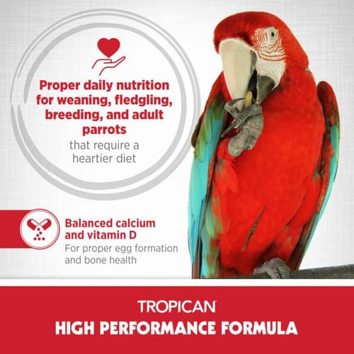 Hari Tropican High Performance Formula for Parrots Sticks