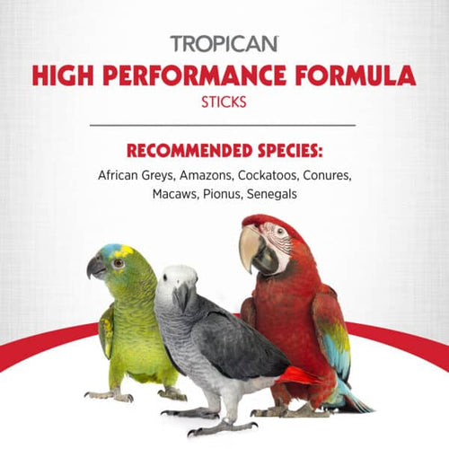 Hari Tropican High Performance Formula for Parrots Sticks