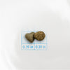 Forza10 Urinary Dry Cat Food for UTI Support Fish Flavor
