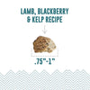 Icelandic+ Lamb, Blackberry & Kelp Recipe Soft & Chewy Bites for Dogs