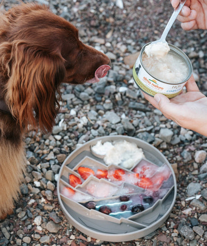 Messy Mutts Mountain Scene 8 Silicone Therapeutic Dog Lick Bowl-Interactive Dog Feeder