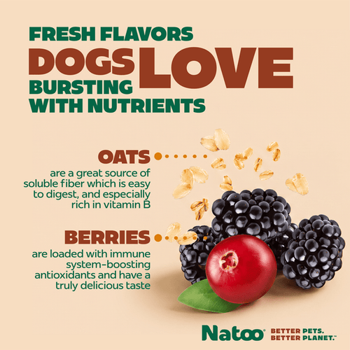 Natoo Crunchy Biscuits Oats And Berries Flavor Dog Treats