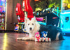 MultiPet Sonic the Hedgehog® Amy Rose Figure Dog Toy