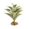 Zoo Med Desert Flora – Silver Mullein