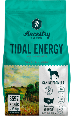 Ancestry TIDAL ENERGY