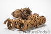 Palm Tail Spring