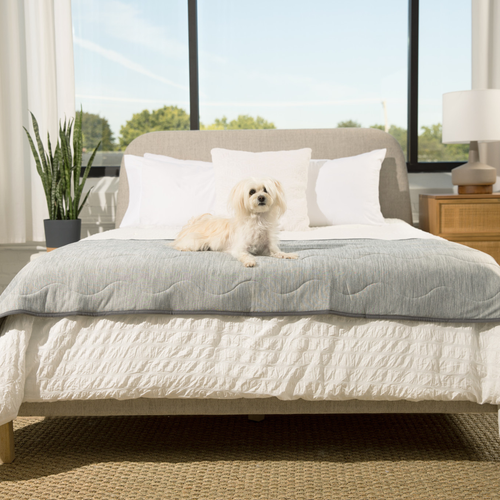 PupChill™ Cooling Waterproof Runner Blanket - Arctic Grey