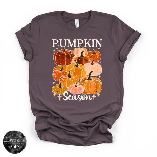 Pumpkin Season Tee | Cozy Fall Graphic T-Shirt