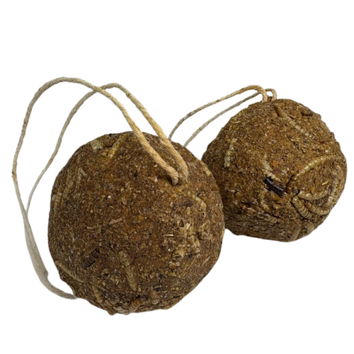 Quail & Gamebird Knödel — Enrichment Feed Ball with Mealworms 2 pack