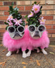 Haute Couture Feathered Luxury Pet Sweater