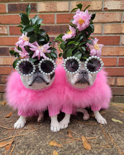Haute Couture Feathered Luxury Pet Sweater