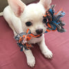 Dog Bite Rope Chew Toy