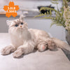Tracy Weighted 3lbs –Relaxing Cat Toy Comfort Calming Plush