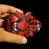 Rare Alien Amethyst with Red Hematite Natural Mineral Specimen # B 6949