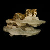 Rare Calcite Formation Natural Mineral Specimen # B 6621