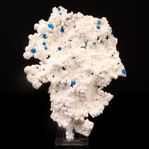 Rare Cavansite on floater mordenite natural Mineral Specimen # B 6743