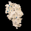 Rare Cavansite on floater mordenite natural Mineral Specimen # B 6743