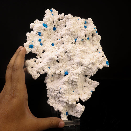 Rare Cavansite on floater mordenite natural Mineral Specimen # B 6743