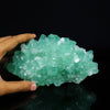 Rare Green Apophyllite with Mordenite Natural Mineral Specimen #TC24-16