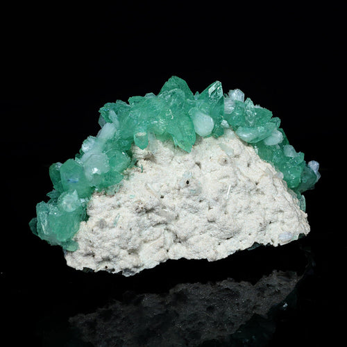 Rare Green Apophyllite with Mordenite Natural Mineral Specimen #TC24-16