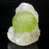 Rare Green Botryoidal Fluorites Natural mineral Specimen # B 7026
