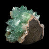 Rare Green Floral Apophyllite sharp terminated Natural Mineral Specimen USA # B 6919