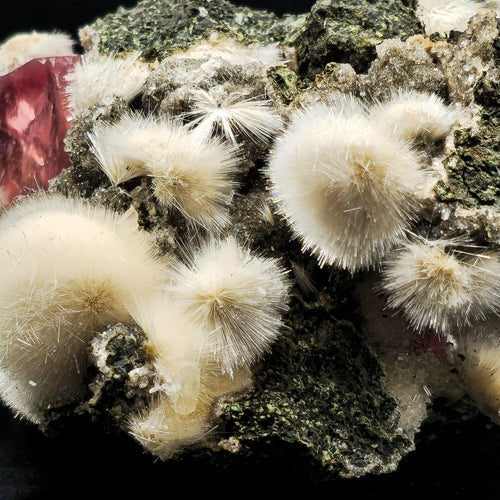 Rare Huge Moldy Raspberry Calcite with Mesolite Natural Mineral Specimen.  # GG5