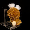 Rare New Find Thomsonite with Mesolite Natural Mineral Specimen # B 6815