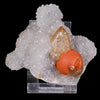 Rare Red Botryoidal Fluorite with Dog Tooth UV Calcite, Natural Mineral Specimen # B 6844