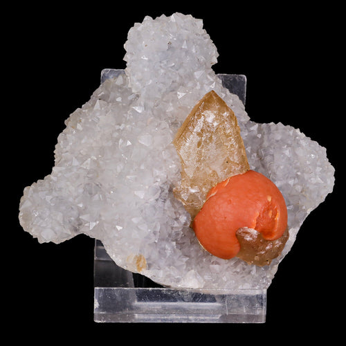 Rare Red Botryoidal Fluorite with Dog Tooth UV Calcite, Natural Mineral Specimen # B 6844