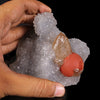 Rare Red Botryoidal Fluorite with Dog Tooth UV Calcite, Natural Mineral Specimen # B 6844