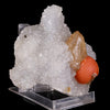 Rare Red Botryoidal Fluorite with Dog Tooth UV Calcite, Natural Mineral Specimen # B 6844