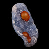 Rare Red Botryoidal Fluorites Natural mineral Specimen # B 6904 (USA)
