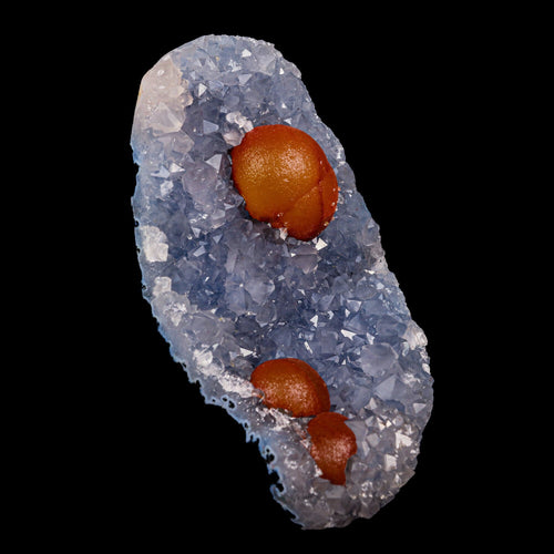 Rare Red Botryoidal Fluorites Natural mineral Specimen # B 6904 (USA)