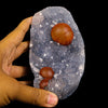 Rare Red Botryoidal Fluorites Natural mineral Specimen # B 6904 (USA)