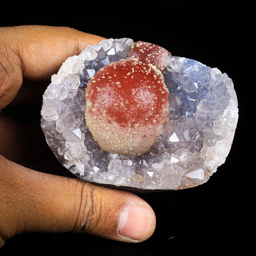 Rare Red Botryoidal Fluorites Natural mineral Specimen # B 7000