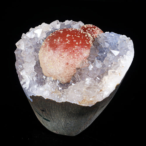 Rare Red Botryoidal Fluorites Natural mineral Specimen # B 7000