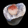 Rare Red Botryoidal Fluorites Natural mineral Specimen # B 7000