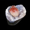 Rare Red Botryoidal Fluorites Natural mineral Specimen # B 7000