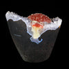 Rare Red Botryoidal Fluorites Natural mineral Specimen # B 7000